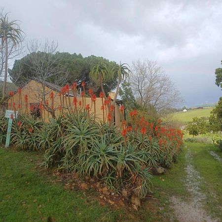 Swaynekloof Farm Villa Botrivier Exteriör bild