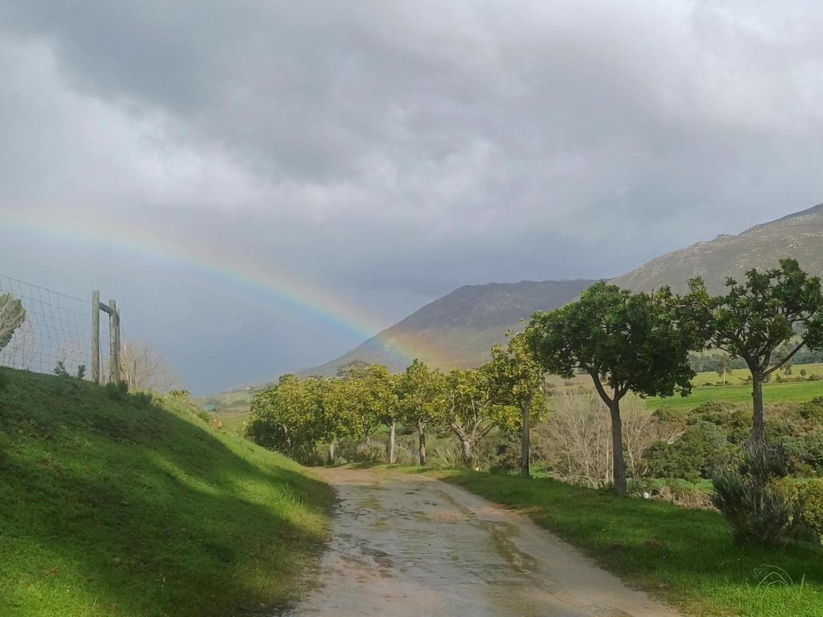 Swaynekloof Farm Villa Botrivier Exteriör bild
