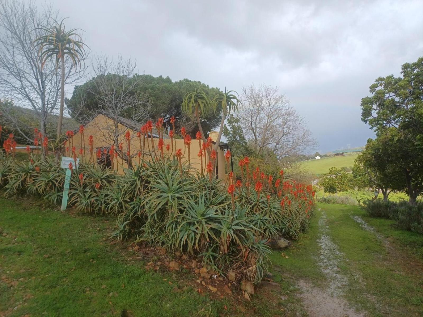 Swaynekloof Farm Villa Botrivier Exteriör bild